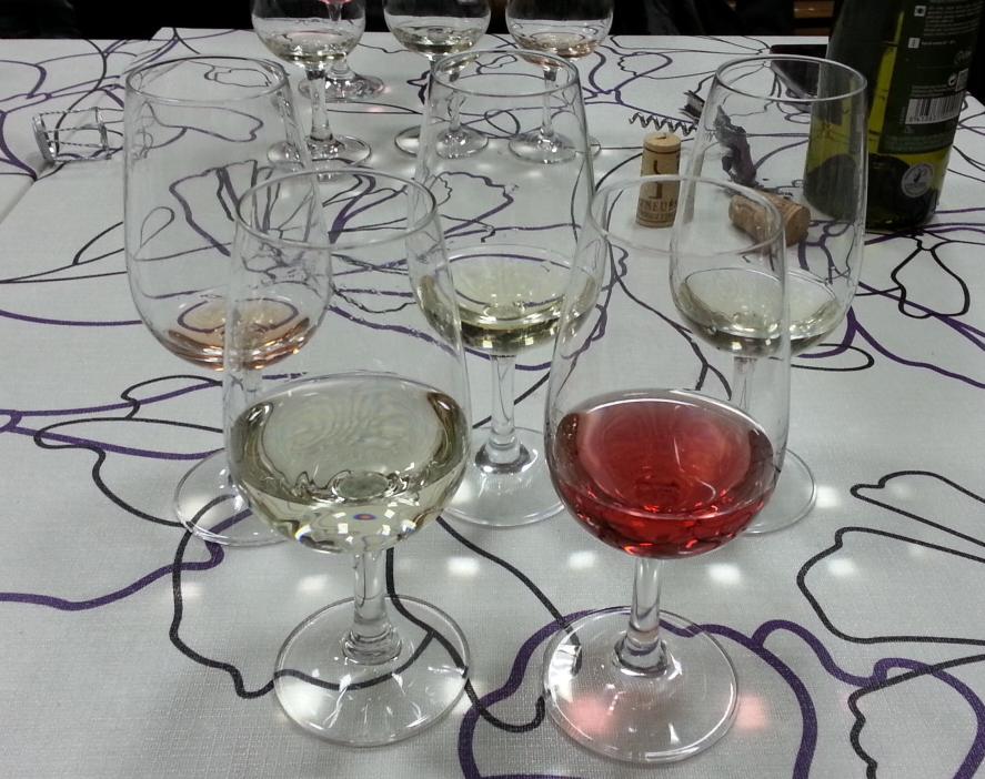 Cata Presentación de Bodegas Covides