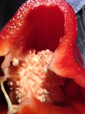 La cocina del pimiento