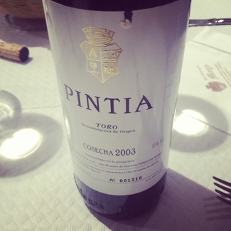 Pintia 2003