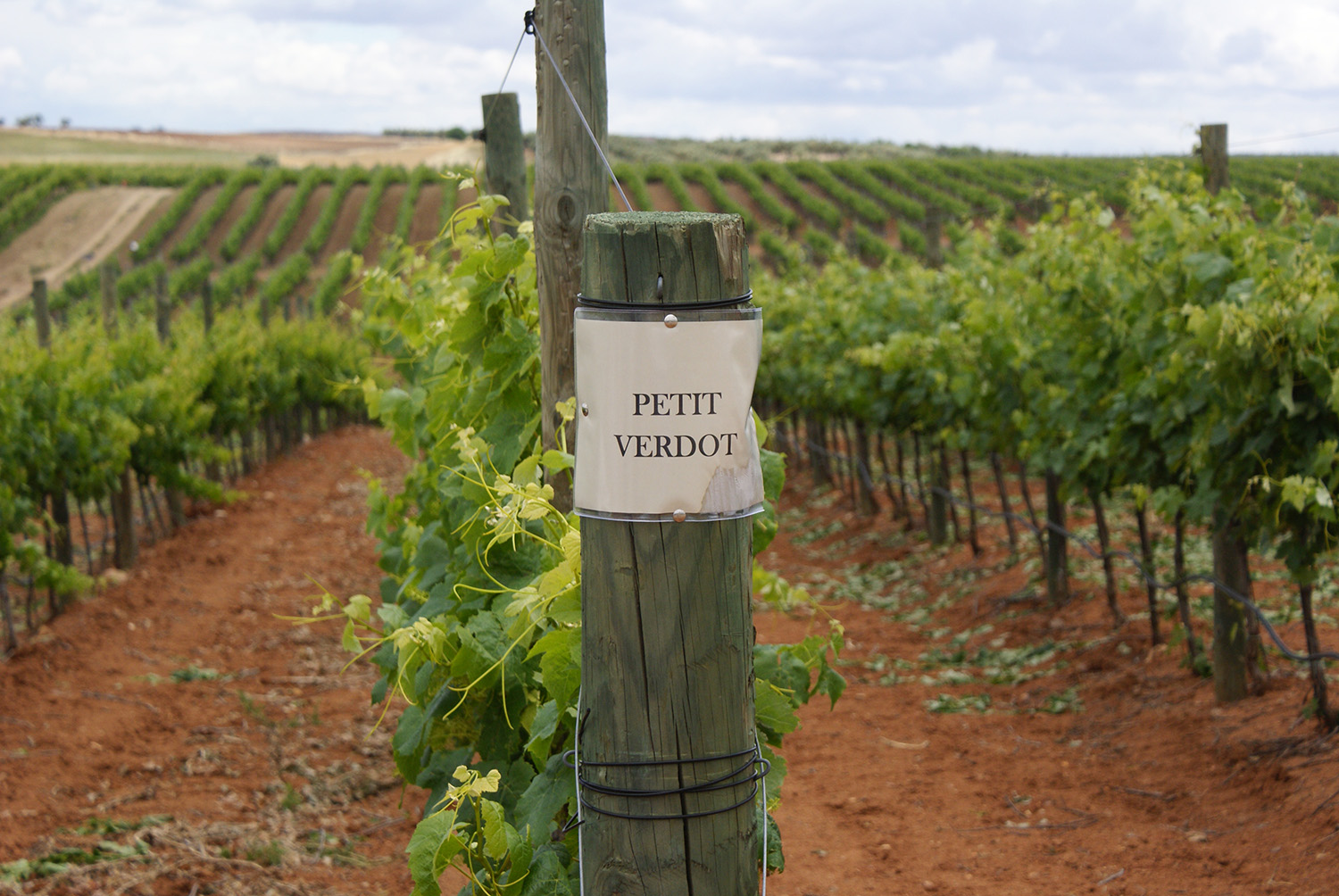 El enoturismo está en auge