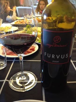 Furvus 2009