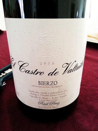 El Castro de Valtuille 2010