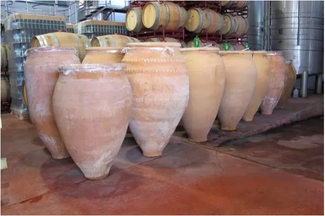 Tinajas, Tinajeros y Tinajazos. El Vino de Tinaja