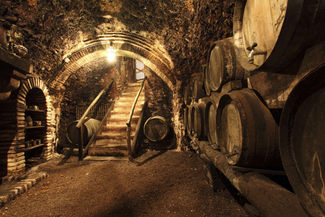De enoturismo por Aragón: La Ruta de la Garnacha