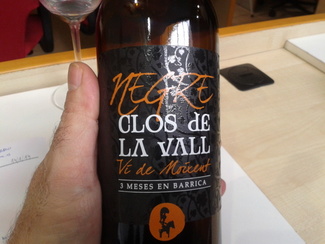 Clos de la Vall Negre 2011