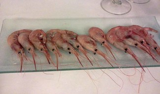 Cata 235: Tintos cálidos.