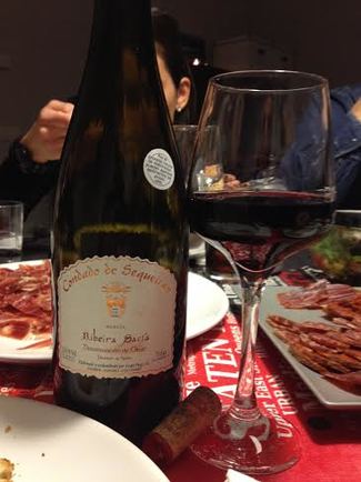 Condado de Sequeiras tinto Mencía 2011