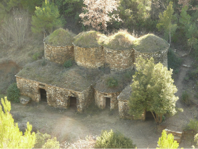 Tinas de vinya en la comarca del Bages. Recuperación del patrimonio vinícola