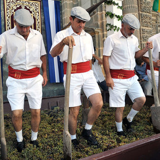 Enoturismo andaluz: La Ruta del Vino y Brandy del marco de Jerez