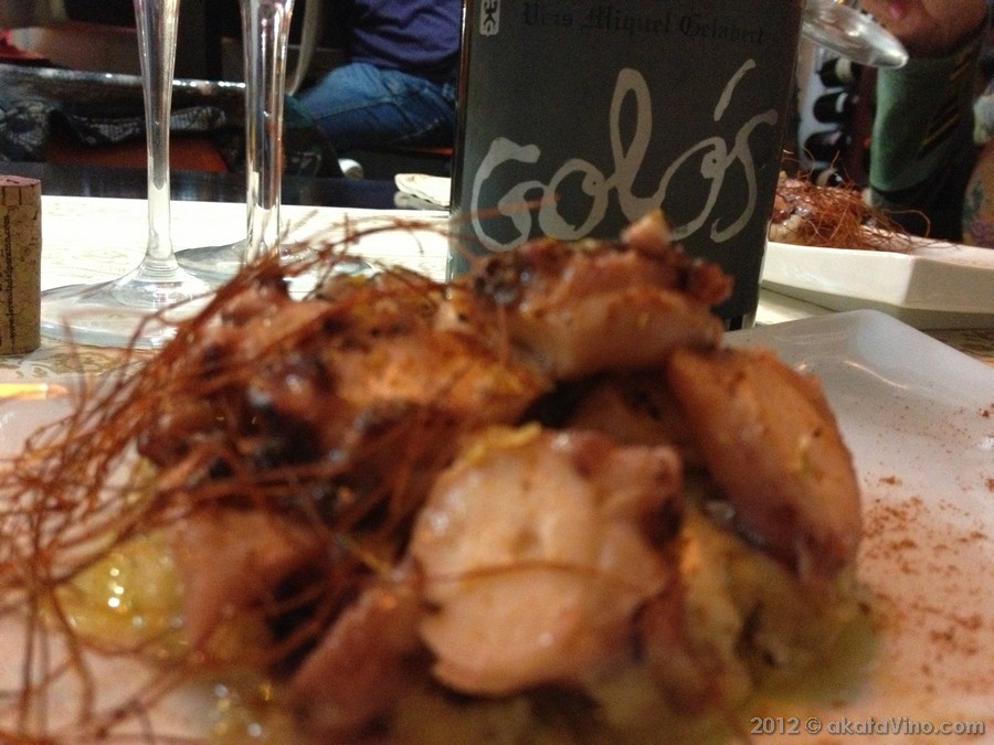 Golos 2008 de Miquel Gelabert. Exploramos y Descubrimos...