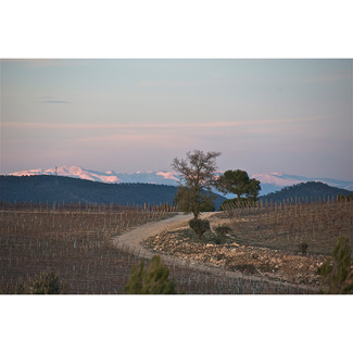Paisaje con montañas