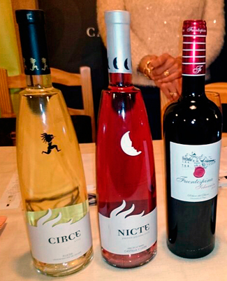 Bodega avelino vegas