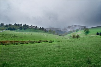 Cata de riojas 2012. cata I en Igorre.