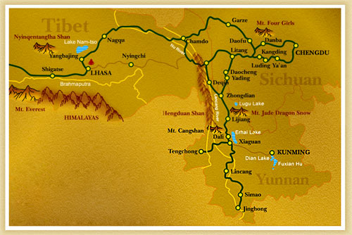 Tipos de té y sus propiedades: guía básica