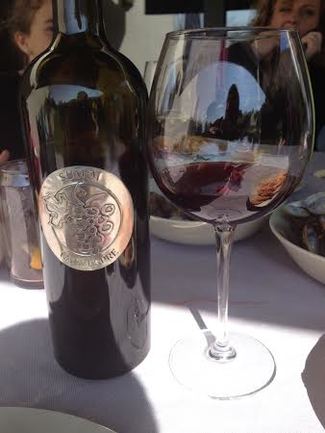 Capvespre Sumoi 2008