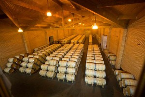 Los vinos de la Ribera del Duero