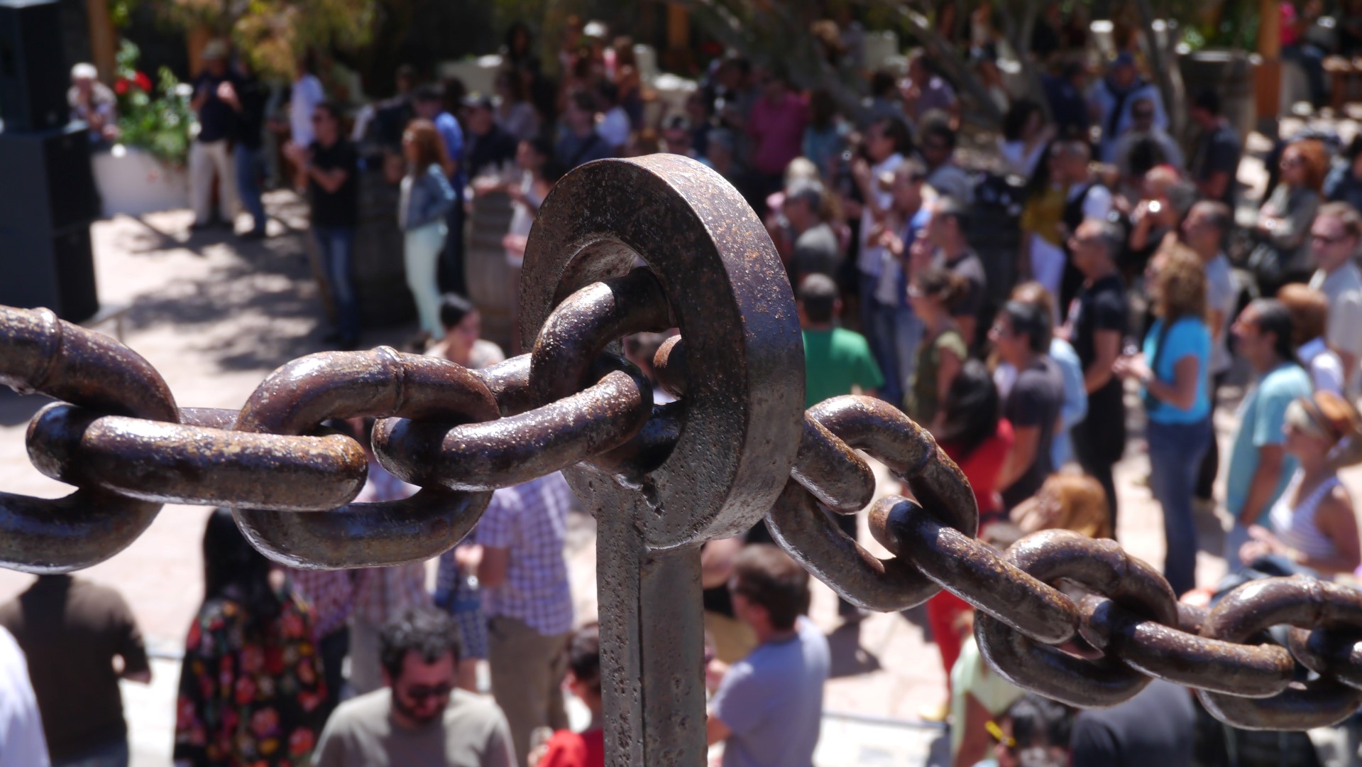 Acciones promocionales en torno al vino: Imagen, repercusión, posicionamiento, ¿rentabilidad?