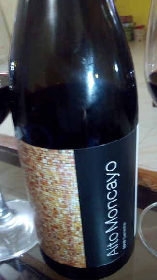 Alto Moncayo 2010