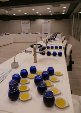 VIII Curso de Cata de Aceite de Oliva en la Universidad de La Rioja