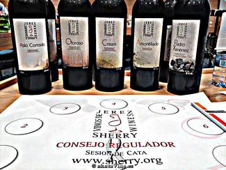Jerez en Teoría y Cata