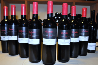 Vertical Chafandín. Cata marzo 2011.