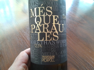 Més que paraules blanc 2013