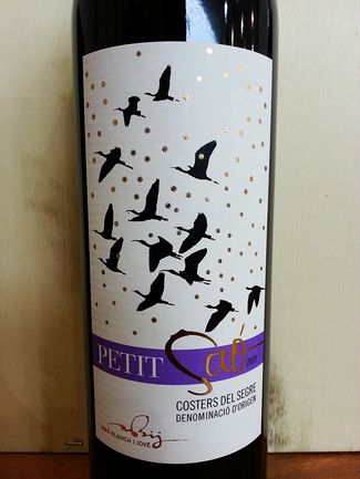 Petit Saó 2010