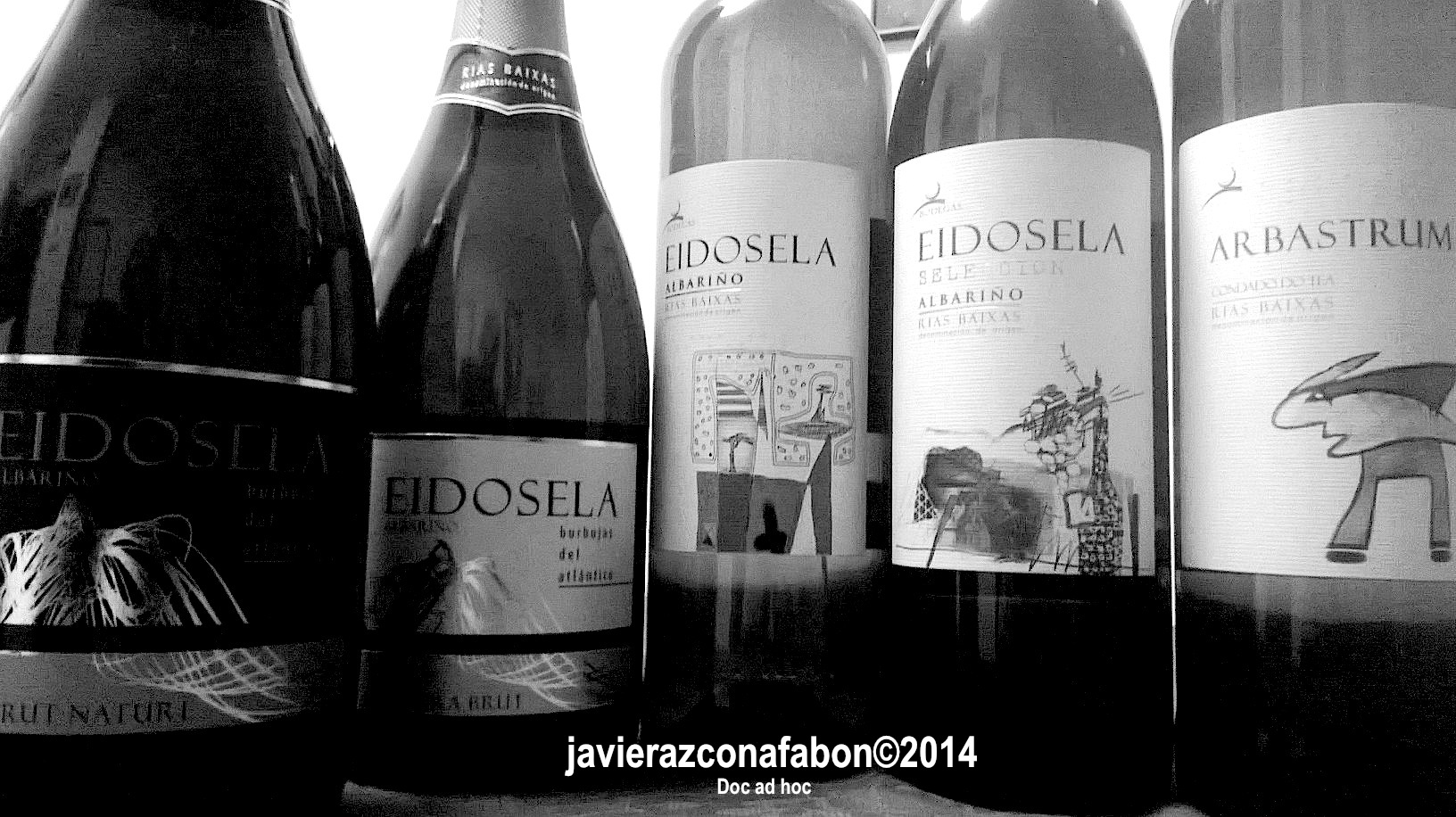 Eidosela....Burbujas del Atlántico: Vinos blancos y espumosos de calidad DO.Rias Baixas.