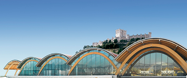 El año 2013 otorga los mejores resultados económicos de la historia al grupo Bodegas Protos