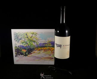 Hacienda el Ternero Crianza 2009