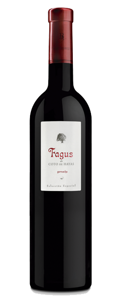 Fagus Magnum 2011