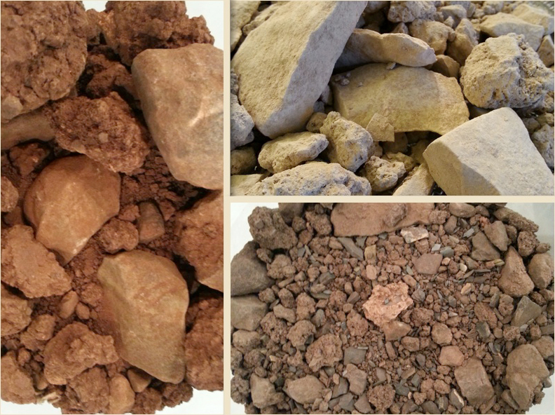 El Campo de Borja y sus terroirs, "El Imperio de la Garnacha"