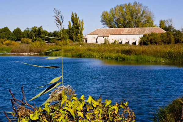 Aires de la Mancha – Paraíso vitivinícola