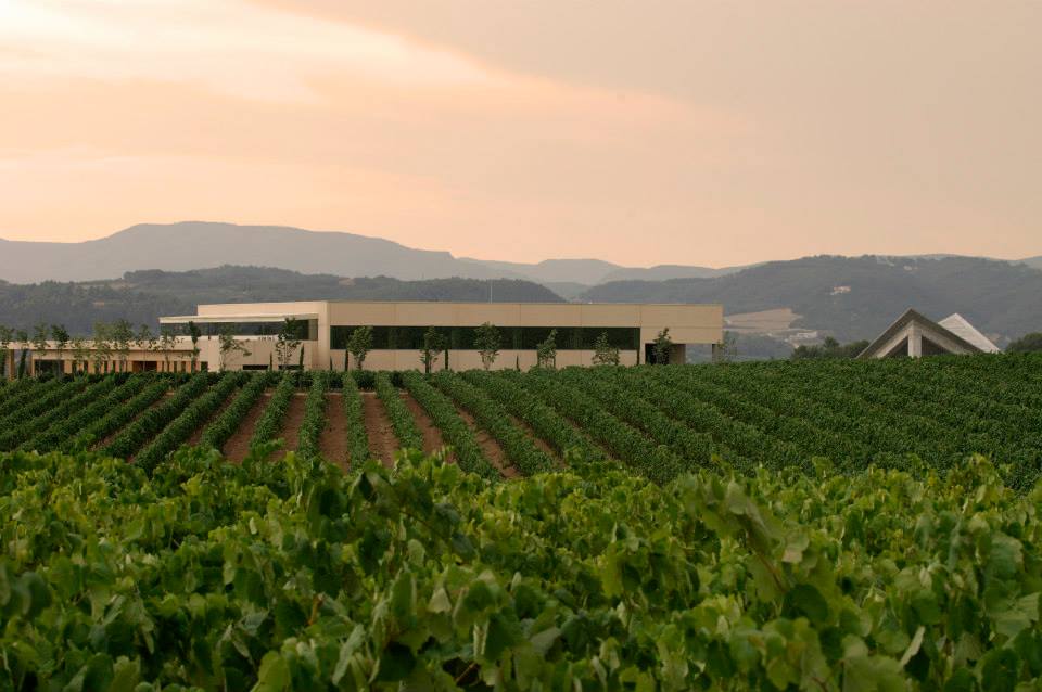 Vilarnau es Nariz de Oro