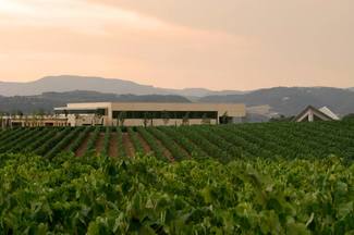 Vilarnau es Nariz de Oro