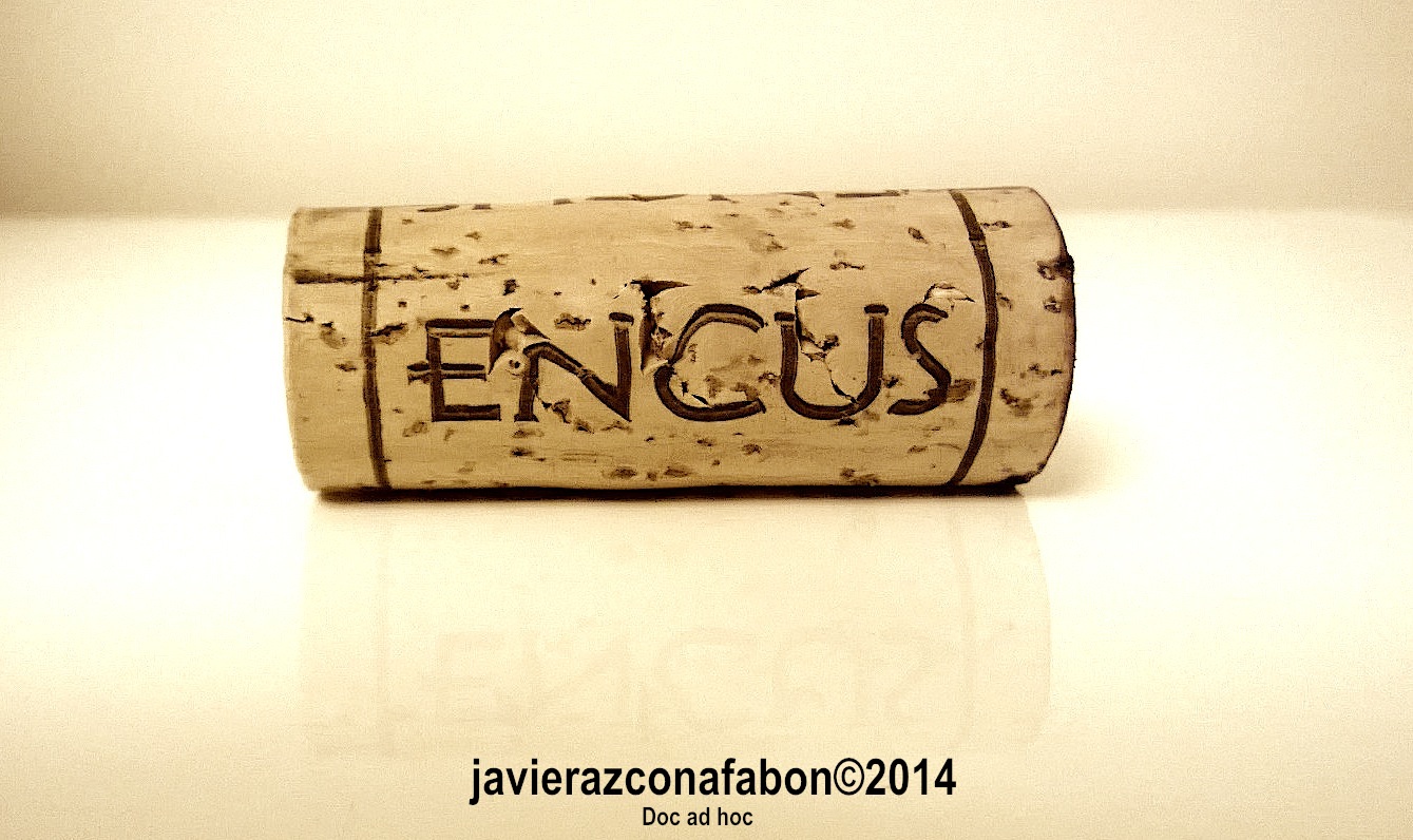 CASTELL  D'ENCÚS....vinos blancos y Tintos de Cataluña