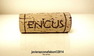 CASTELL  D'ENCÚS....vinos blancos y Tintos de Cataluña