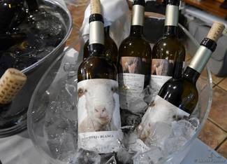 Bodegas Fontana. Eliminemos la mística y conservemos la magia.