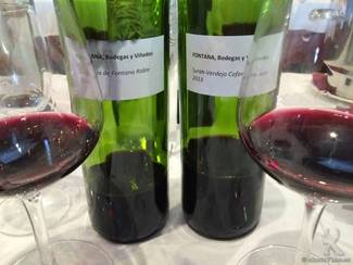 Dominio de Fontana Roble 2013