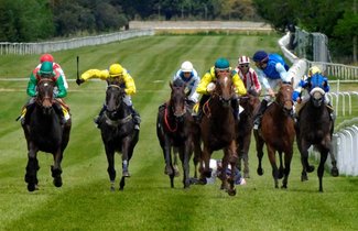 Restaurante Sala Carruajes del Hipódromo de la Zarzuela en Madrid