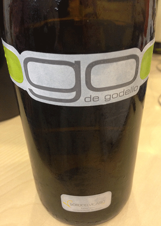 Go de Godello 2009