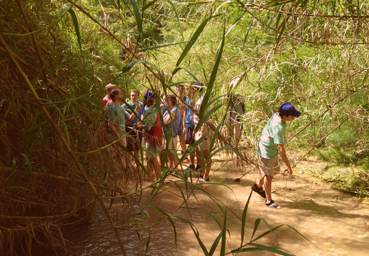 Segura Viudas, Enoturismo en Familia