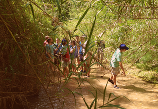 Segura Viudas, Enoturismo en Familia
