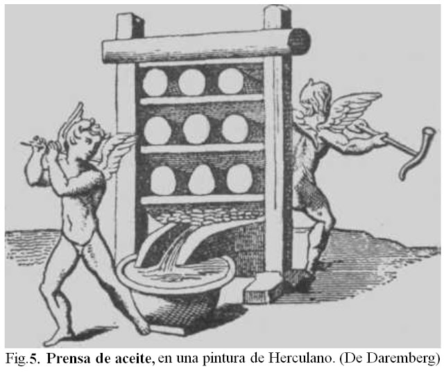 La evolución del aceite de oliva: La Villa Romana de Liédana (Navarra)