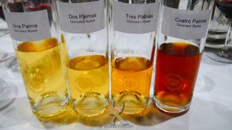 Bodegas Tío Pepe. Vino Una Palma 95 puntos y Gran Sello de Oro. "El comienzo. Selección mimada"