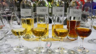 González Byass. Bodegas Tío Pepe. Vino Dos Palmas 98 puntos y Gran Sello de Oro