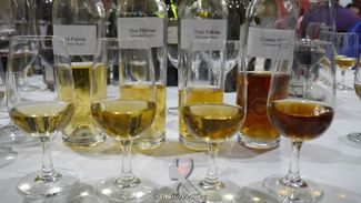 Mis primeros 10 puntos