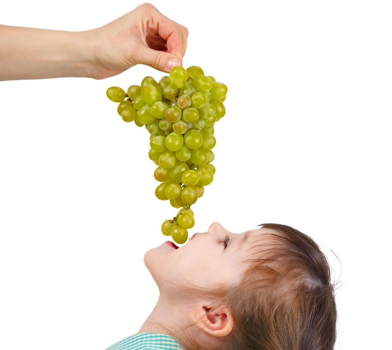 Dejad que los Niños se Acerquen al Vino