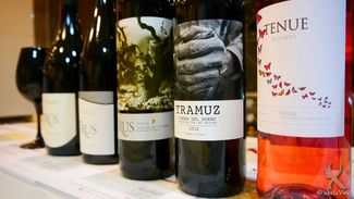 Bodegas Trus. Un proyecto, una ilusión y una realidad en la Ribera del Duero.