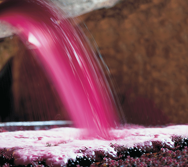 Personajes del vino: Marcos Eguren responderá a los foreros el 11 de septiembre